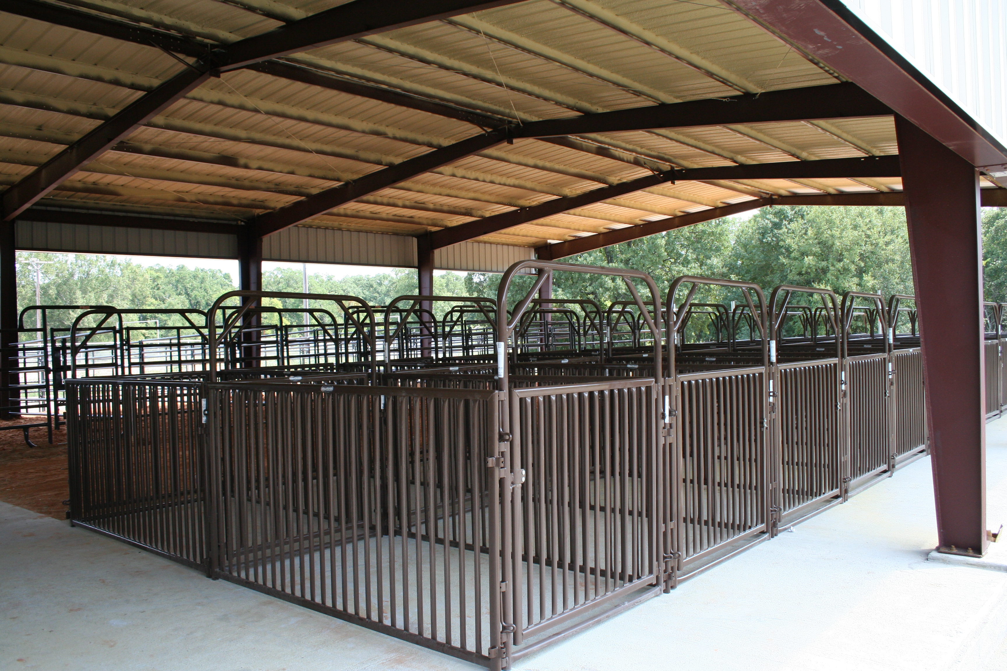 Sheep Hog SHP 03 Lifestyle.jpg